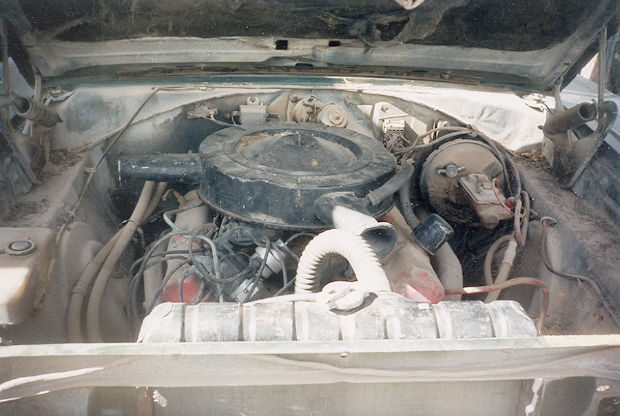 coronet-12