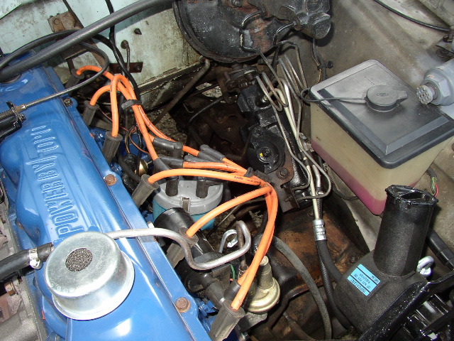 P1010036.JPG
