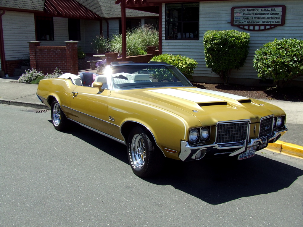 DSCF0356.JPG