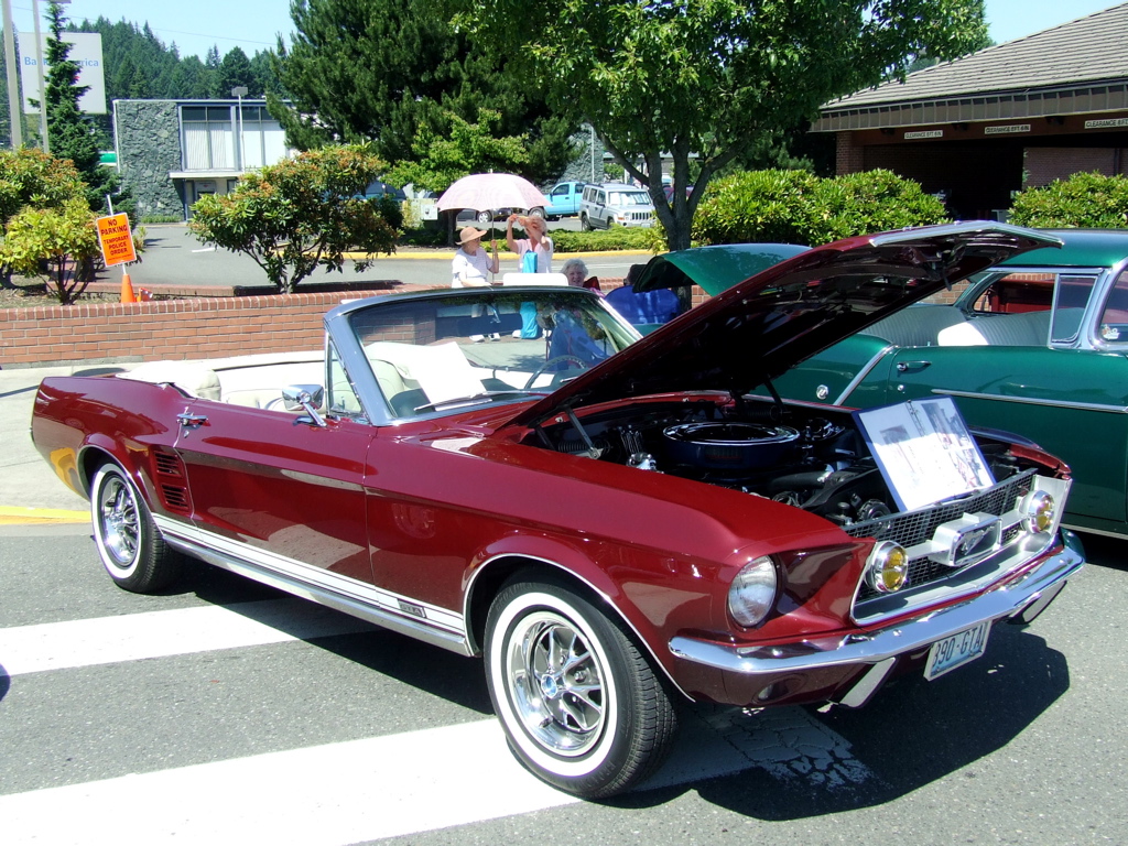 DSCF0495.JPG