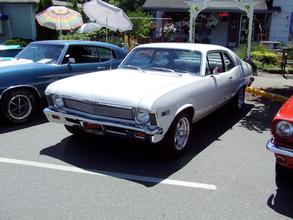 DSCF0339.JPG