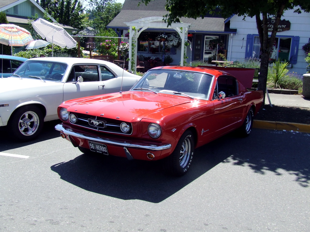 DSCF0338.JPG