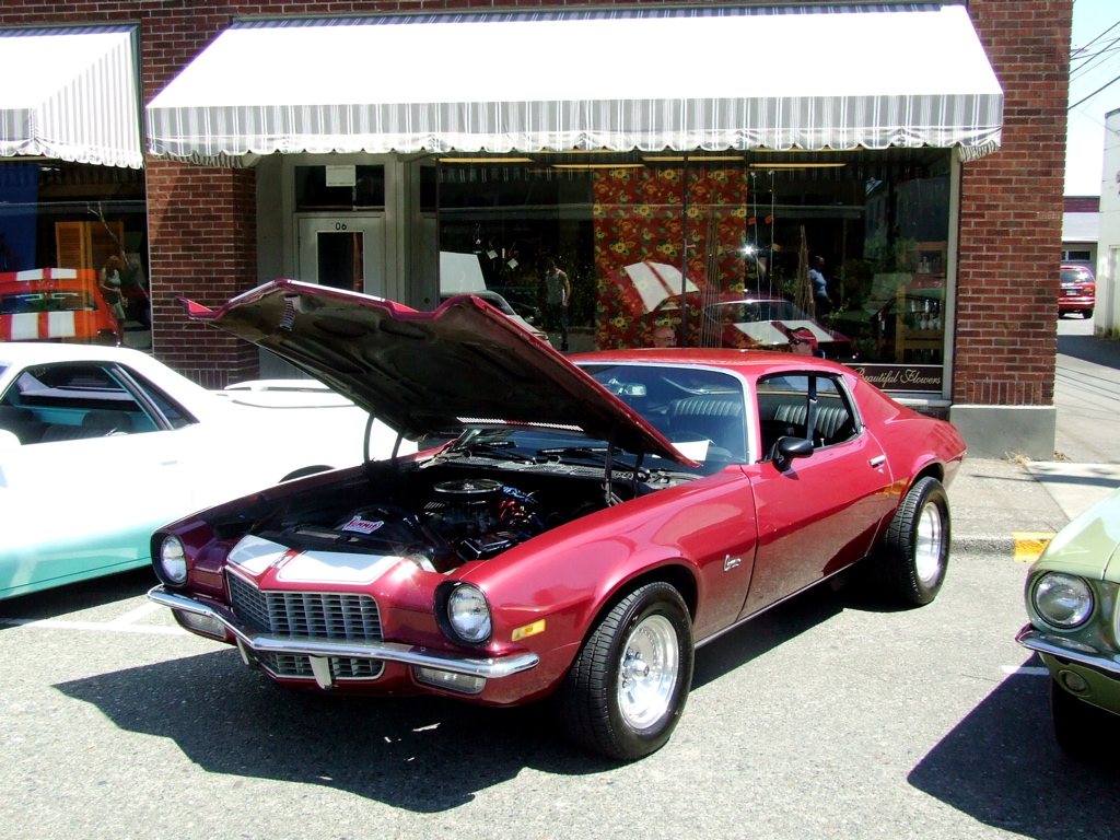 DSCF0411.JPG