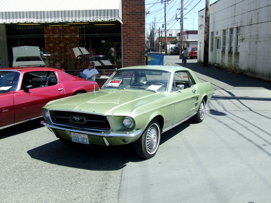 DSCF0410.JPG
