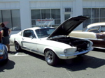 DSCF0405.JPG
