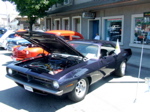 DSCF0446.JPG