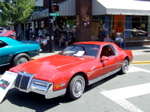 DSCF0418.JPG