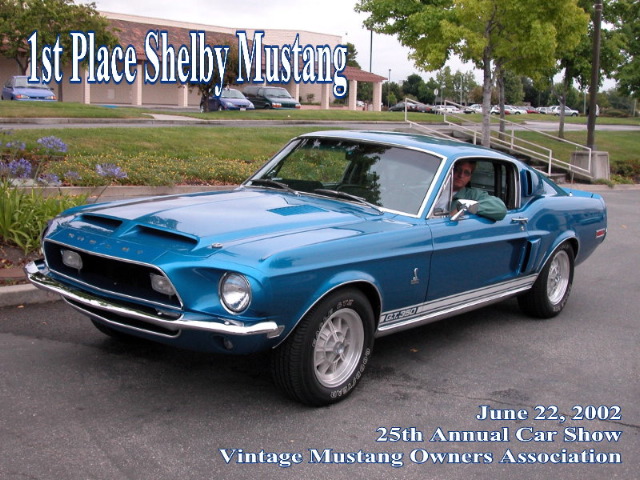 SHELBY 1s